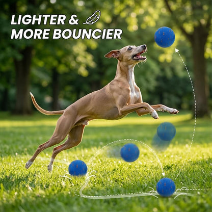 Bouncing moving dog toy ball that is lighter and more bouncy, encouraging dogs to jump, run, and exercise actively outdoors.