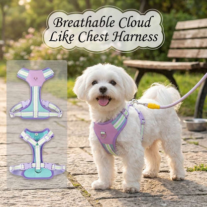 Breathable cloud like chest harness worn by a happy Maltese, ensuring a soft and stylish fit without restricting movement.