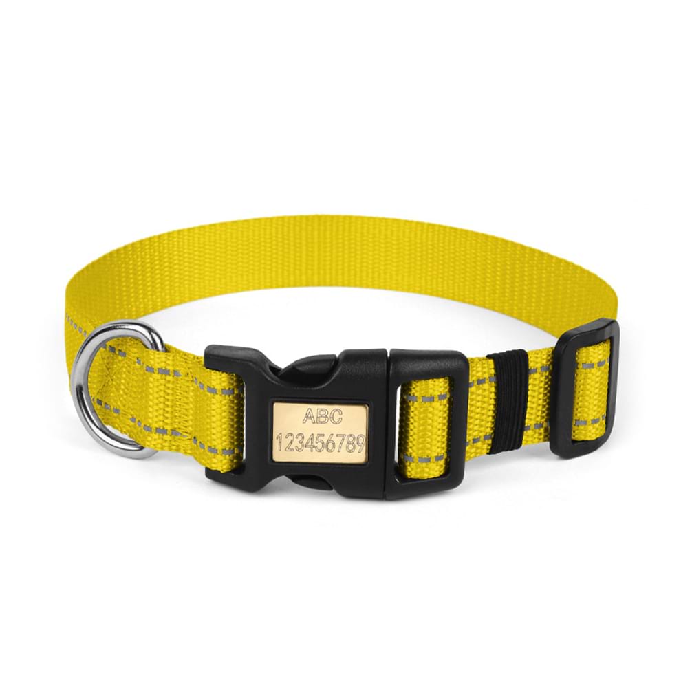 Bright yellow nylon dog collar with a durable copper plate buckle, allowing you to easily add your pet's contact information.