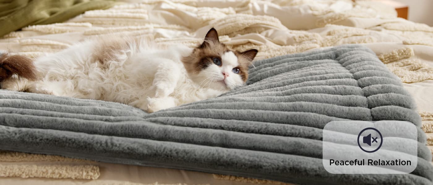 Ragdoll cat sleeping peacefully on a grey self warming pet mat, featuring a noise-free design for relaxation.
