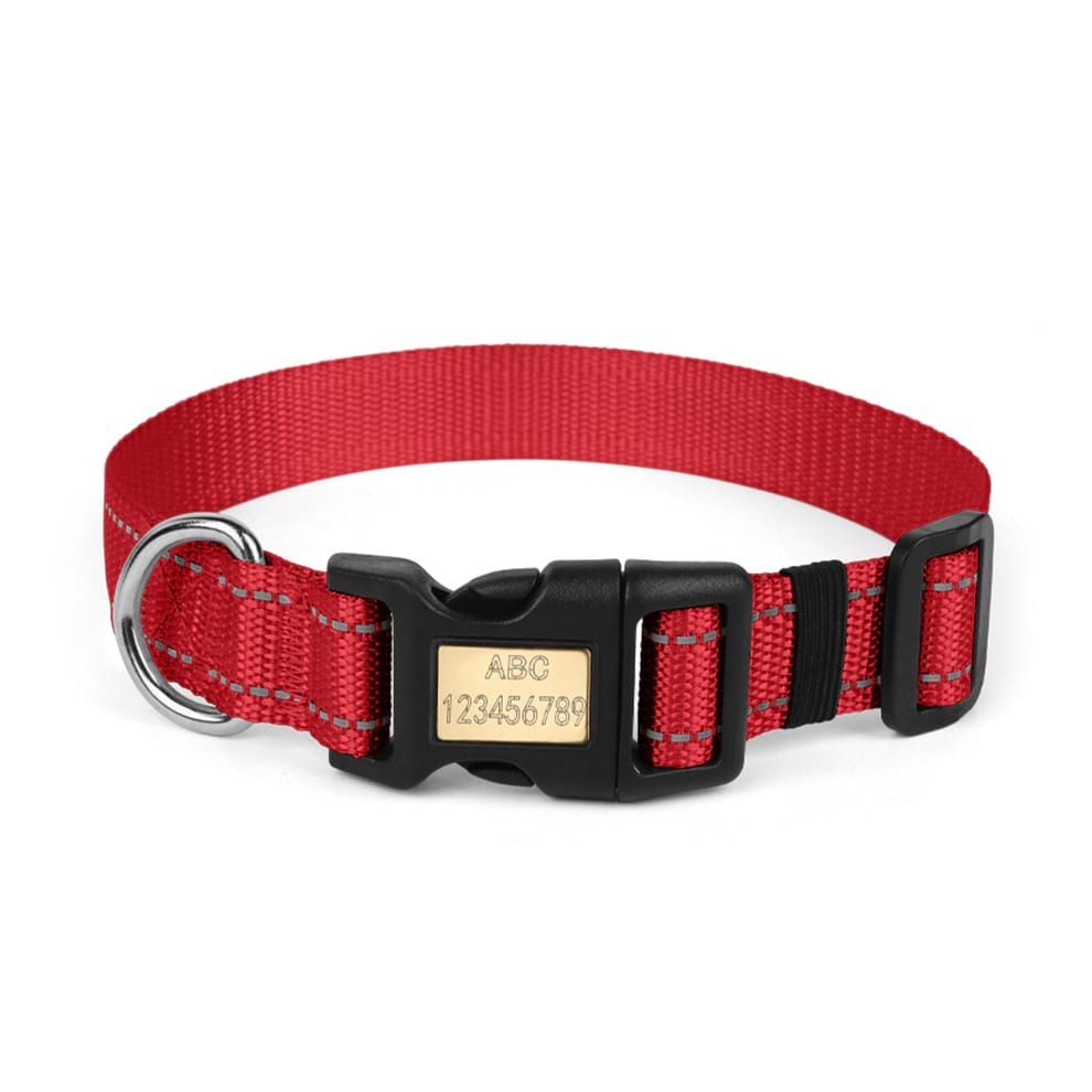 Classic red adjustable dog collar made from premium nylon webbing, ensuring long-lasting durability and comfort for daily walks.