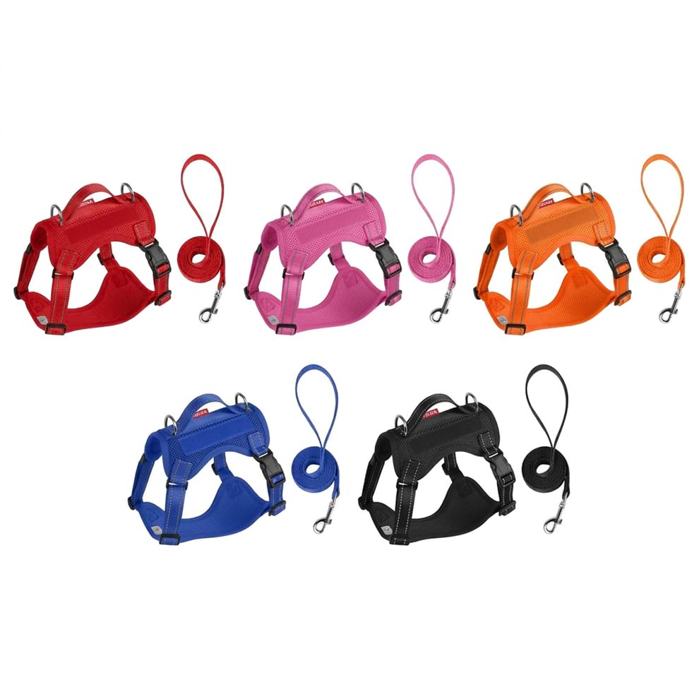 Colorful small dog harness and leash sets available in red, pink, orange, blue, and black to perfectly match your pet's daily style.