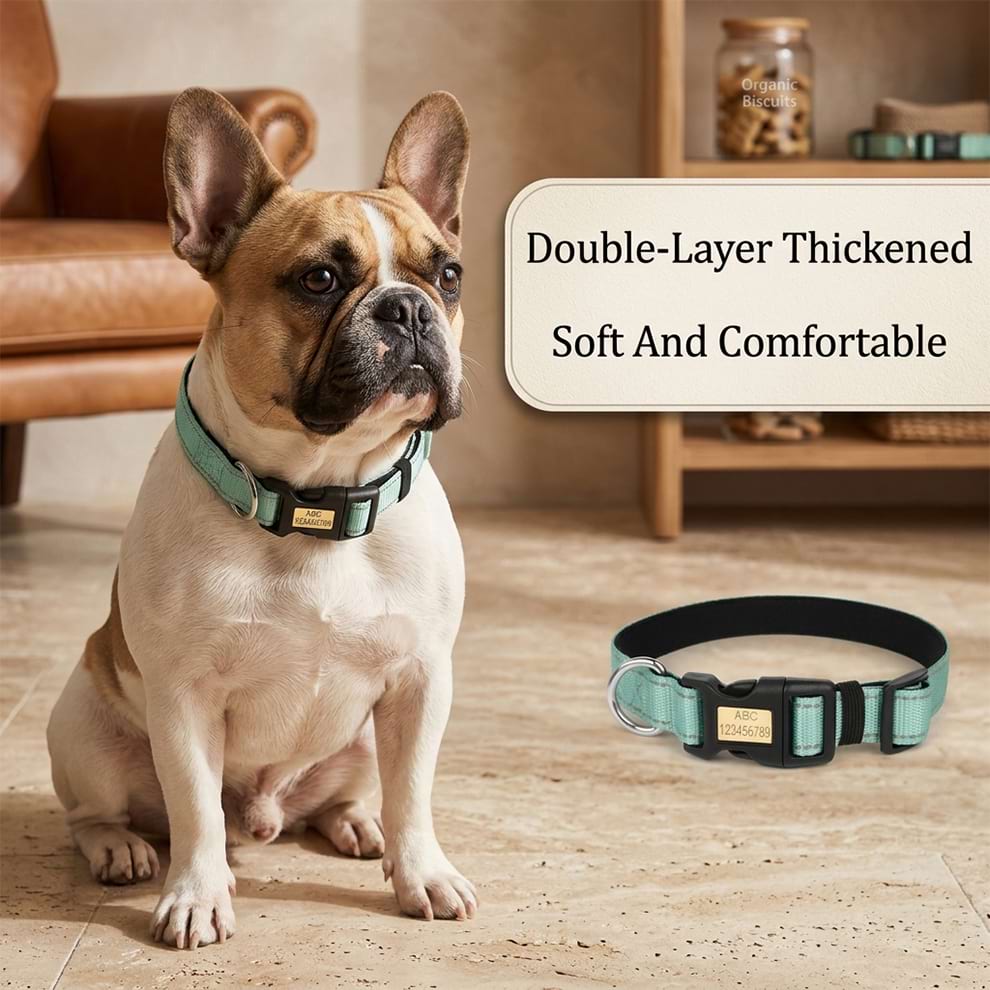Comfortable reflective dog collar worn by a French Bulldog, showcasing the double-layer thickened design that is soft on your pet's neck.
