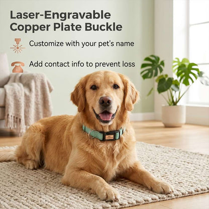 Custom dog collar worn by a happy Golden Retriever, showcasing the laser-engravable copper plate buckle that prevents pets from getting lost.
