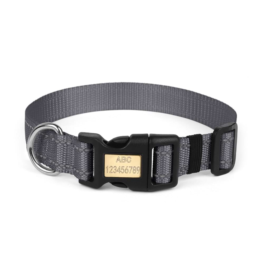 Dark grey dog collar with nameplate, combining a minimalist design with heavy-duty metal hardware for reliable everyday use.