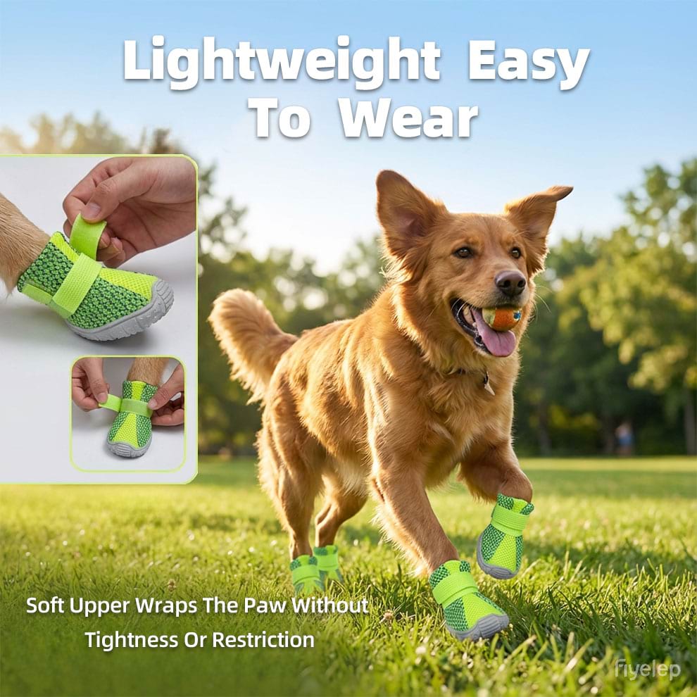 Owner putting on Dog Boots for Hot Pavement using the wide split-seam opening design.