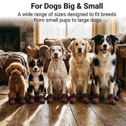 Group of dogs ranging from Poodles to Golden Retrievers wearing dog boots for large dogs and small pups alike.