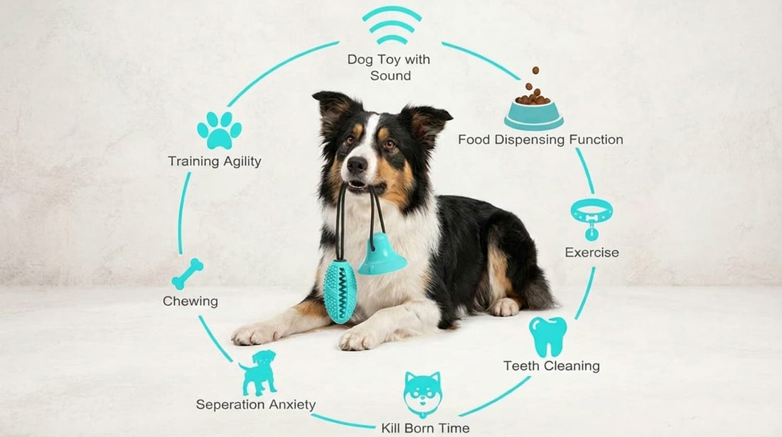 Dog chew toys benefits infographic highlighting features like teeth cleaning, food dispensing, training agility, and reducing separation anxiety.