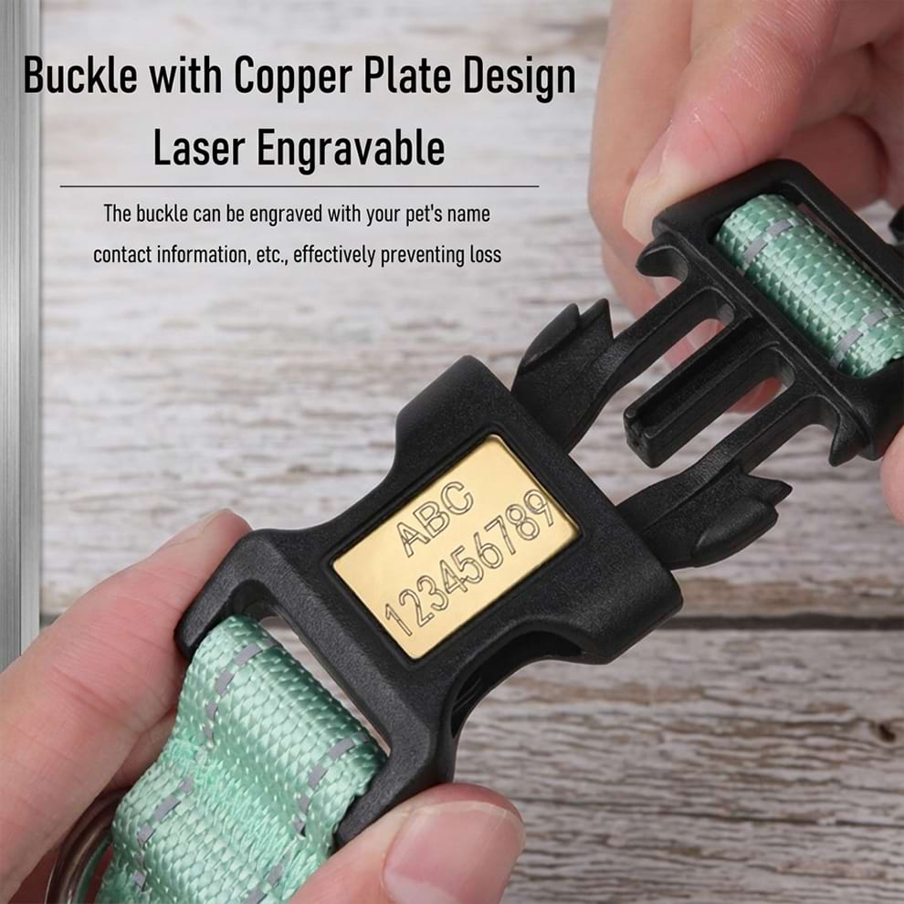 Dog collar with laser engraved nameplate on a copper plate buckle, allowing you to add your pet's name and contact info easily.