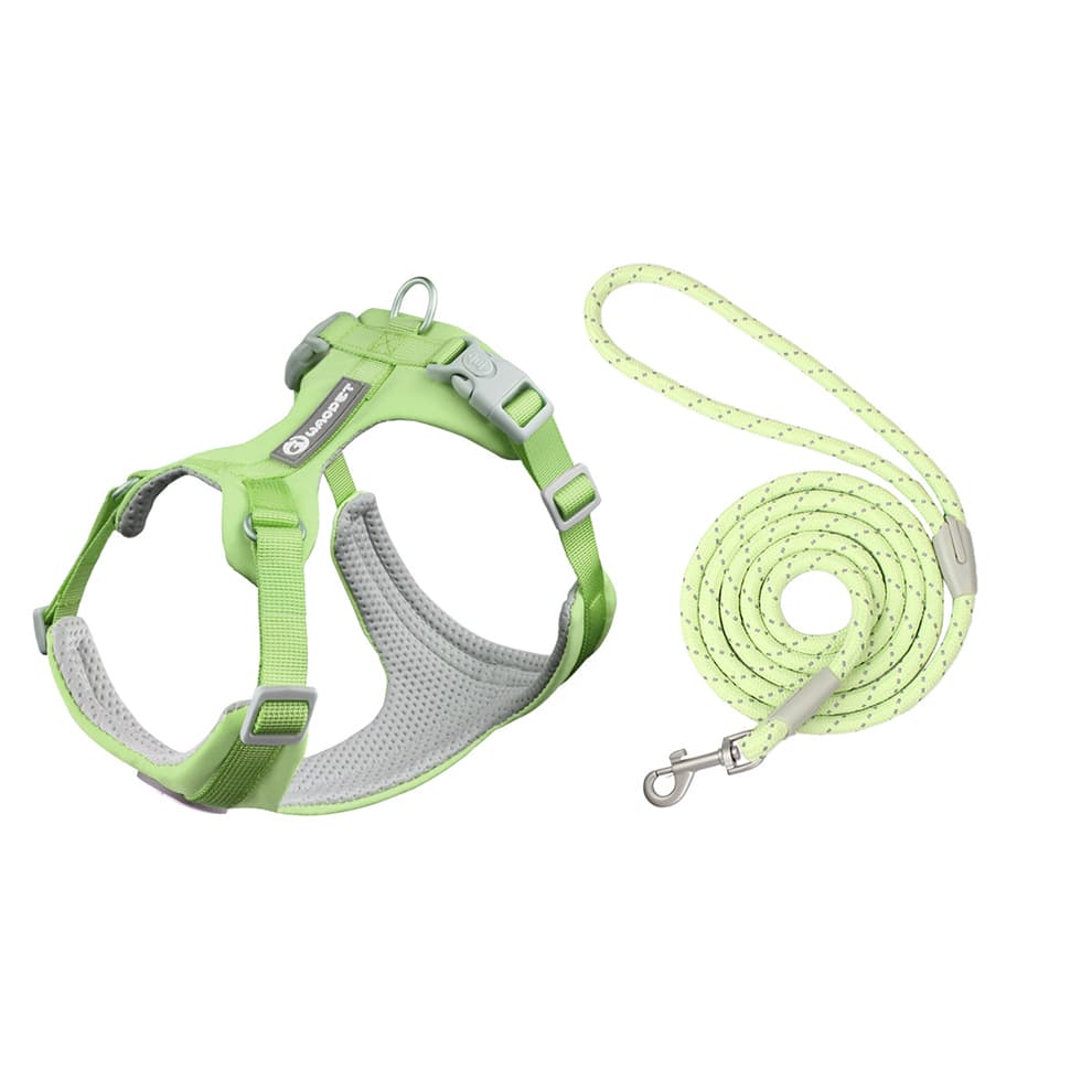 Dog harness and leash set in green with lightweight mesh harness and leash