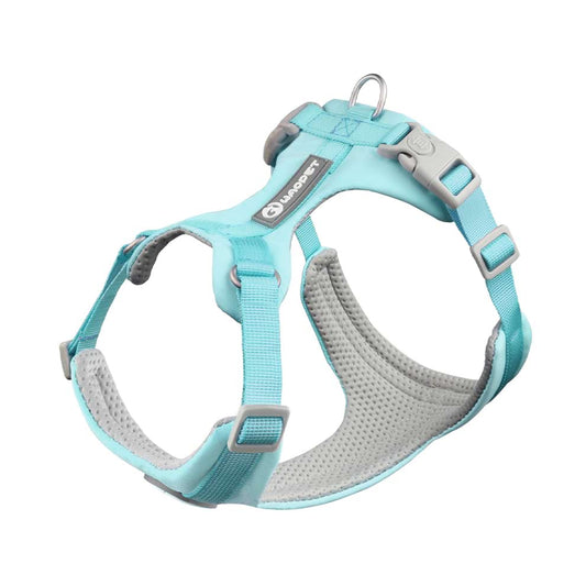 Dog Harness and Leash Set in a beautiful light blue macaron color, featuring an ultra-light and breathable mesh design for daily walks.