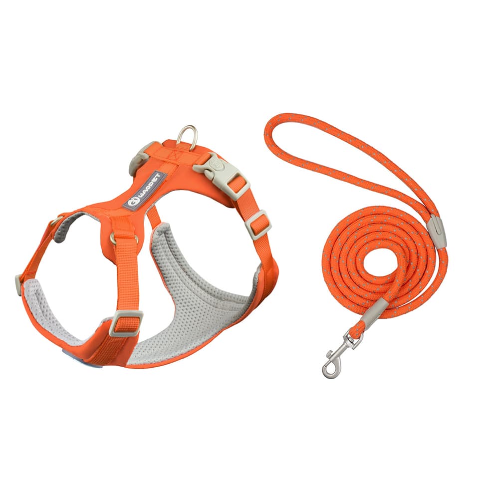 Dog harness and leash set in bright orange with matching reflective leash