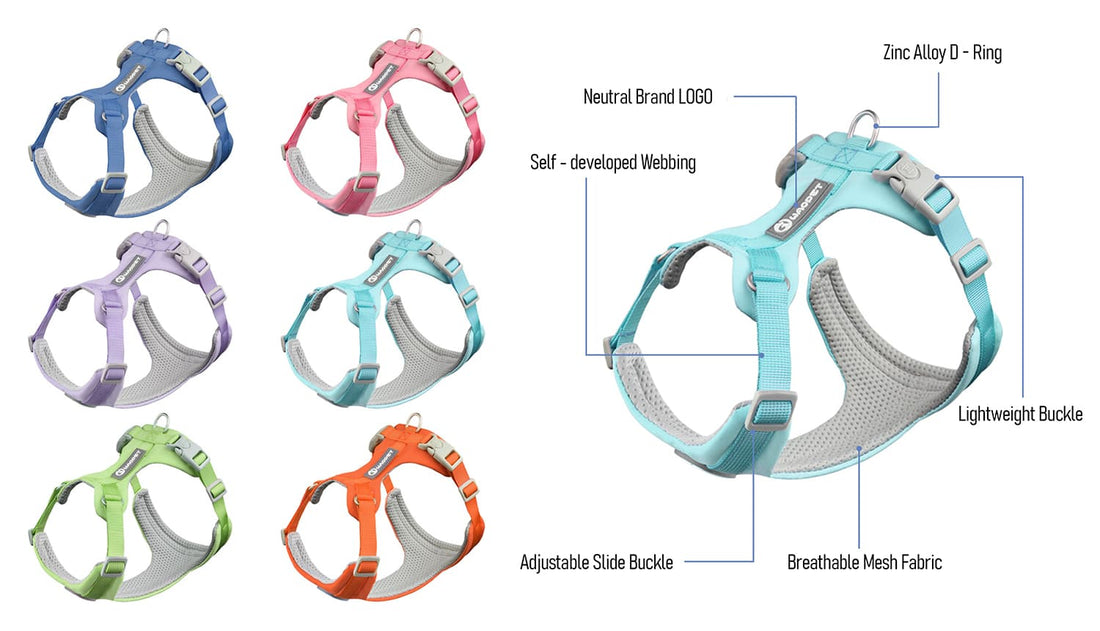 Dog harness and leash set detailed features with breathable mesh fabric, adjustable buckle, and zinc alloy d ring