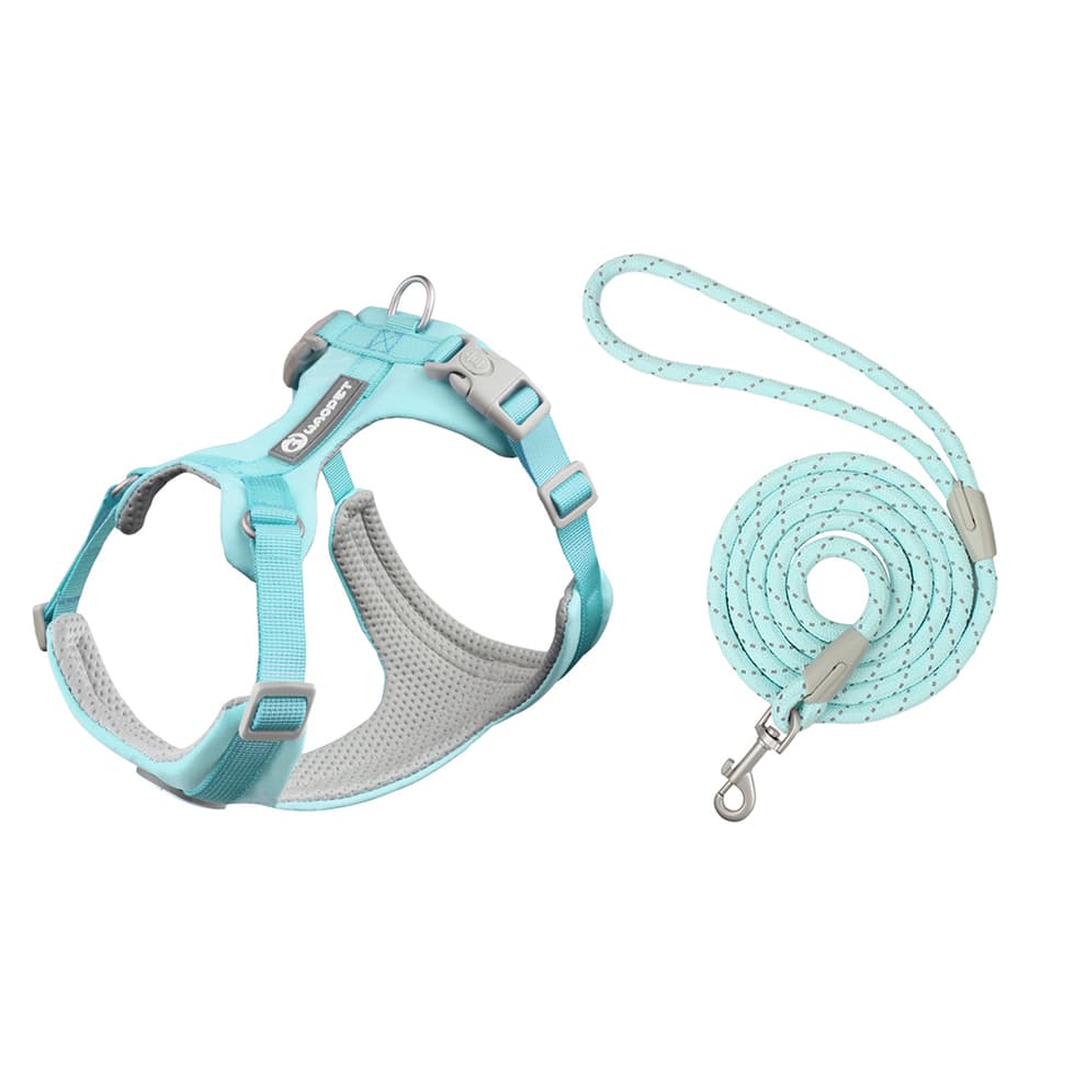 Dog harness and leash set in turquoise with adjustable straps and leash