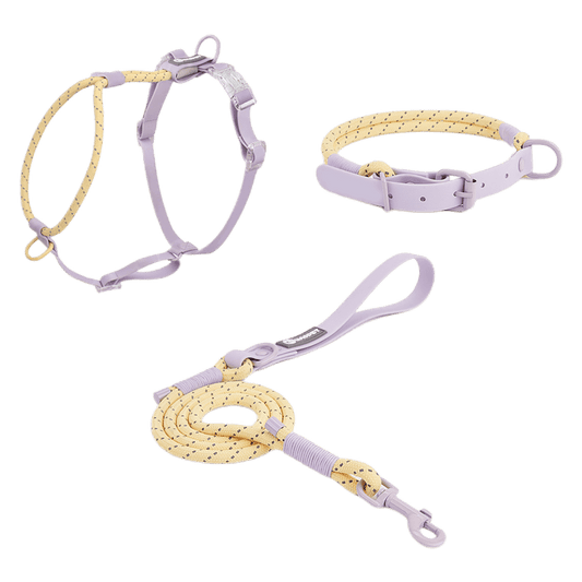 Dog harness collar and leash set in purple and yellow reflective design