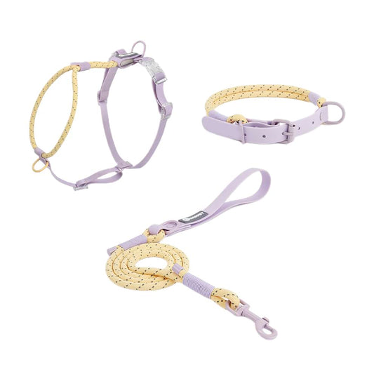 Dog Harness Collar and Leash Set in a stylish purple and yellow design, featuring a waterproof PVC collar, aesthetic rope harness, and matching leash.