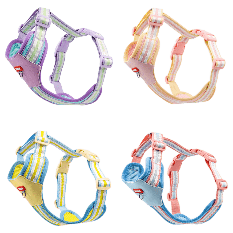 Dog harness for small dogs in colorful breathable mesh, available in four stylish colors