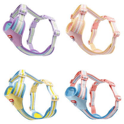 Dog harness for small dogs in colorful breathable mesh, available in four stylish colors