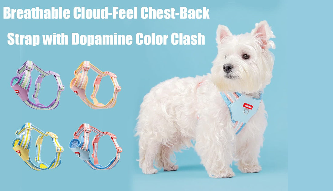 Dog harness for small dogs colorful breathable chest-back strap with dopamine color clash design