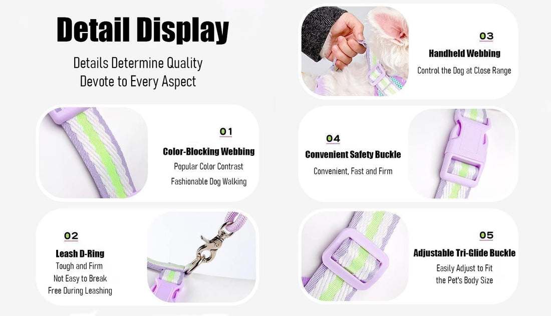 Detail display of colorful dog harness showing webbing, buckle, handle, and reflective safety features