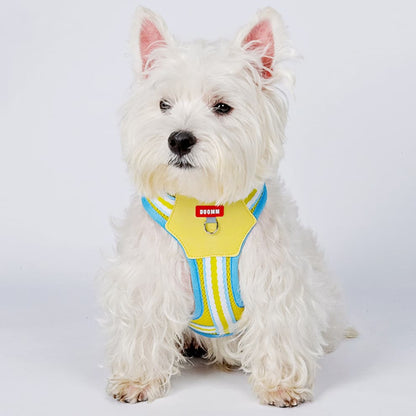 Small white dog in yellow mesh dog harness with sturdy D-ring for leash control
