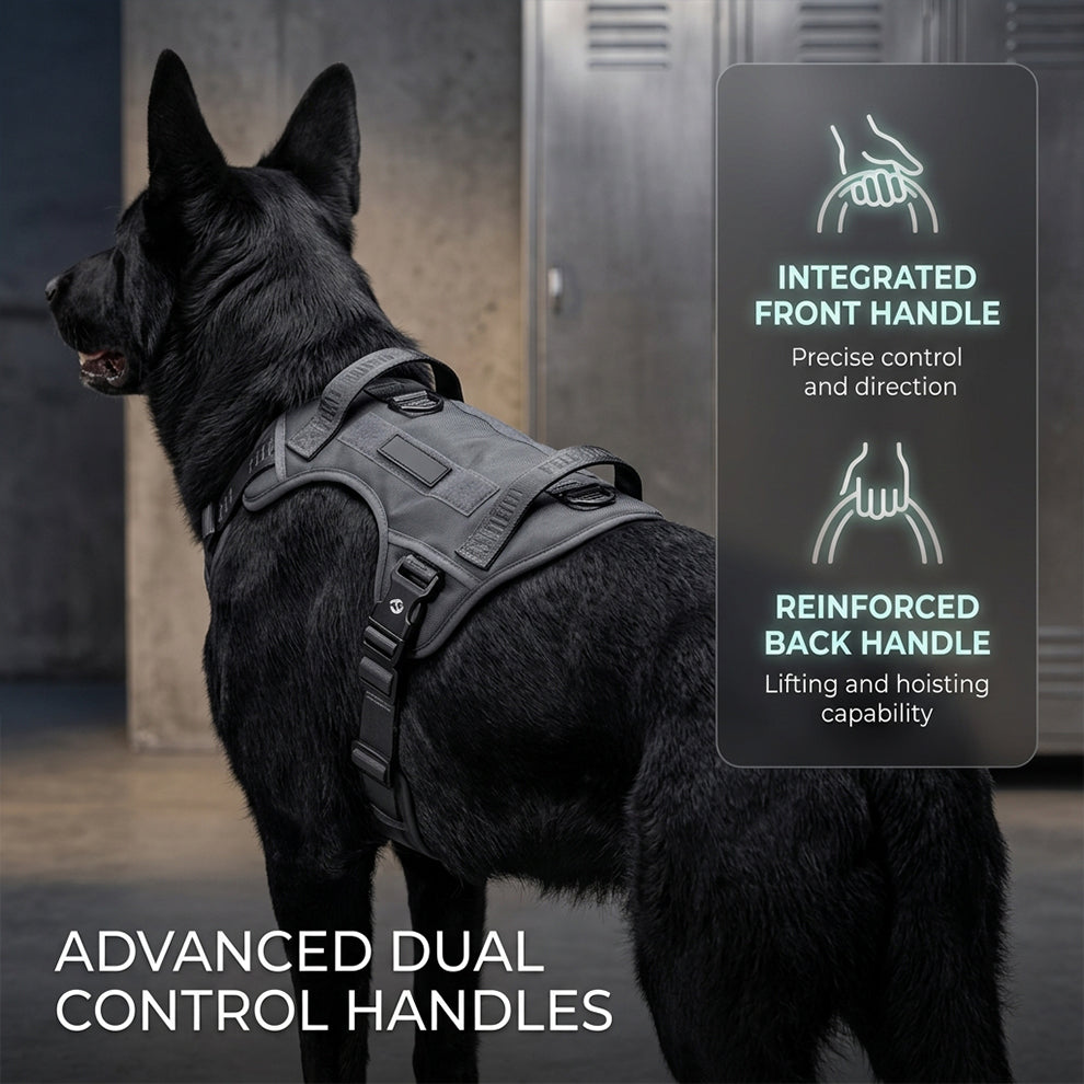 Dog harness with advanced dual control handles, including an integrated front handle for precise direction and a reinforced back handle for lifting.