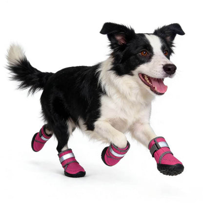 Active dog running on a rocky hiking trail wearing non-slip dog shoes, demonstrating a secure high-top design that stays on during rugged outdoor adventures.