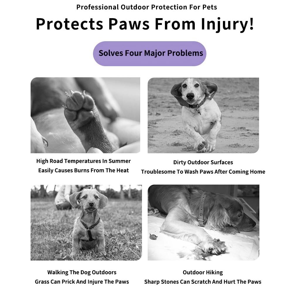 Infographic illustrating how boots provide Dog Paw Protection against summer Hot Pavement sharp stones and dirty outdoor surfaces.
