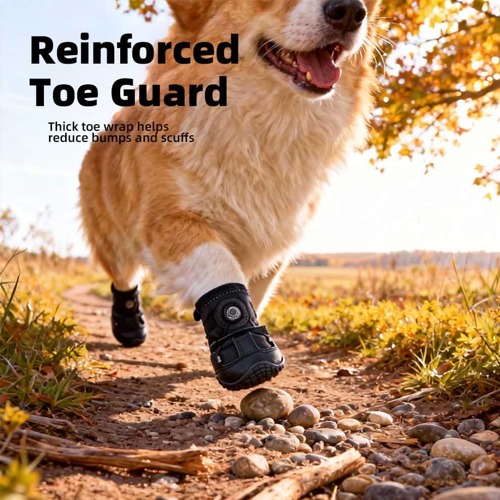 Corgi running on dirt trail wearing durable dog paw protectors with reinforced toe guards to prevent injuries.