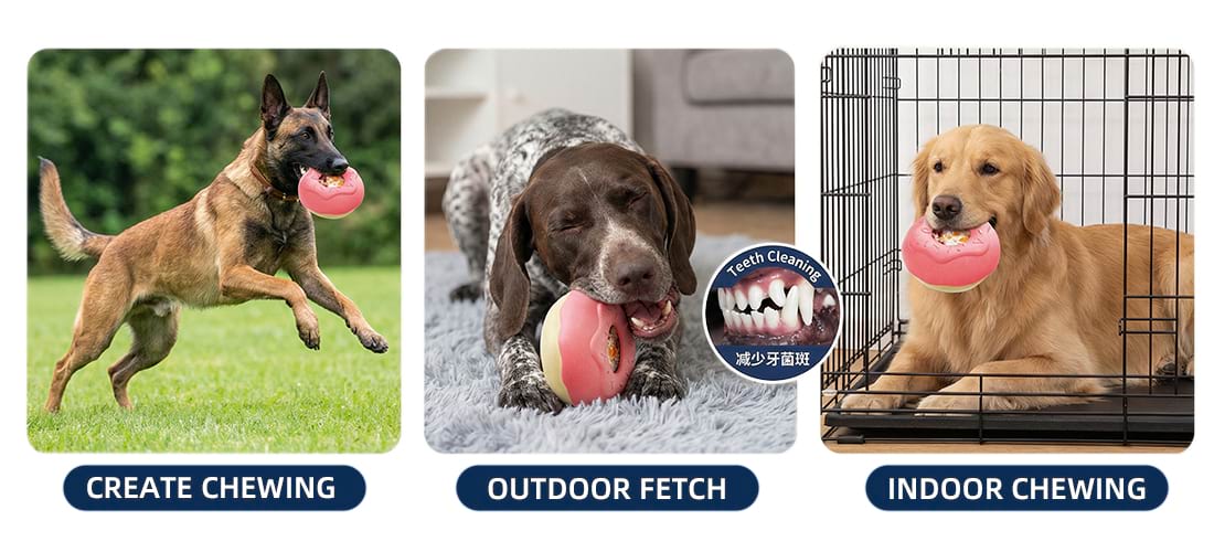 Three ways to use this frozen donut: a Malinois playing outdoor fetch, a dog cleaning teeth to reduce plaque, and a Golden Retriever staying calm in a crate with one of the best dog separation anxiety toys.