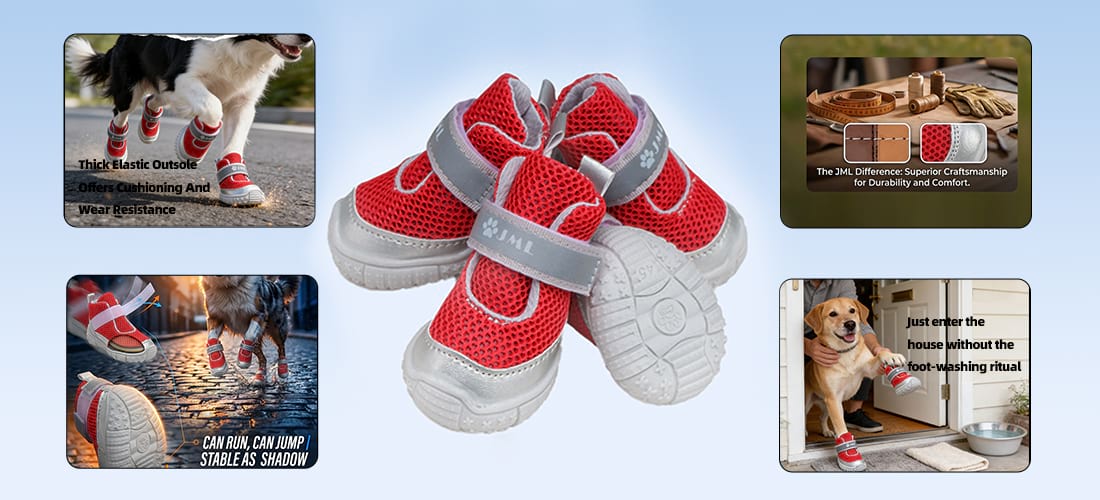 Infographic showing Dog Shoes for Hot Pavement in action, highlighting Heat Protection for Dog Paws on asphalt, durable craftsmanship, and clean home benefits.