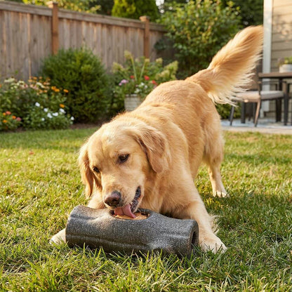 Golden Retriever playing with dog toys for aggressive chewers in the garden showing large log size.