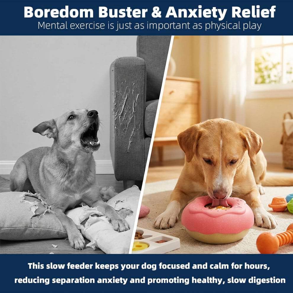 Dog licking peanut butter from the toy, providing dog toys for mental stimulation.