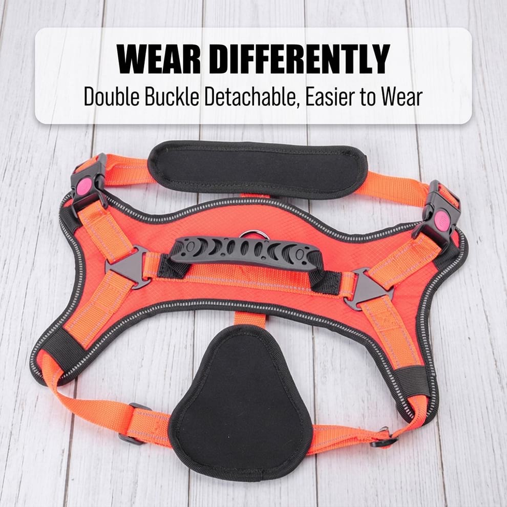Double buckle detachable design of the large dog harness, making it easier to wear and adjust for dogs with broad chests.