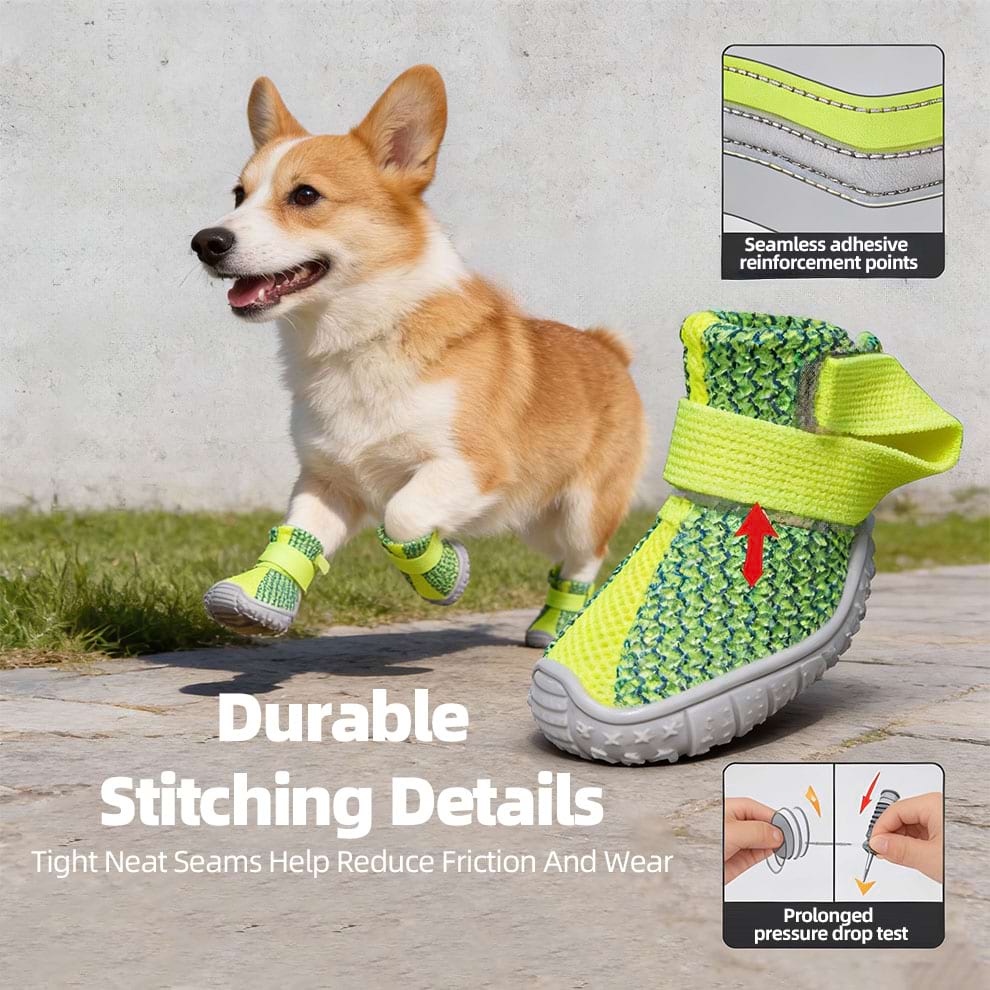 Corgi running in Breathable Dog Shoes highlighting seamless reinforcement and durable stitching.