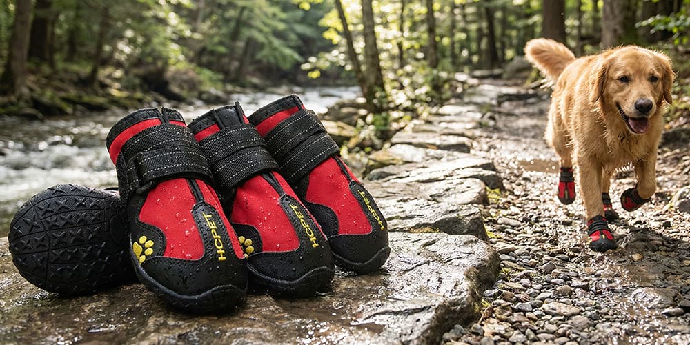 Close-up of durable red dog boots for large dogs resting on wet rocks near a forest stream.