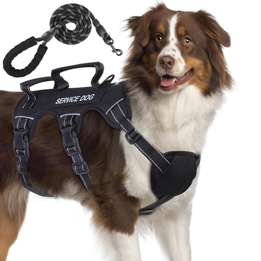 Black escape proof dog harness with handle and no escape design