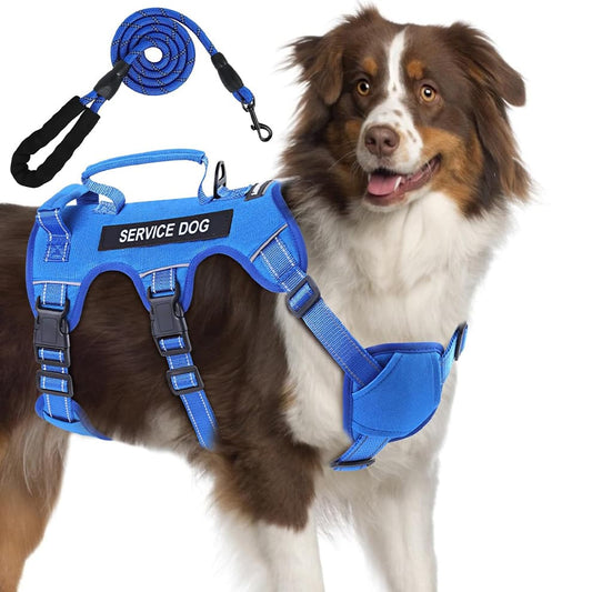 Blue escape resistant no pull dog harness for large dogs