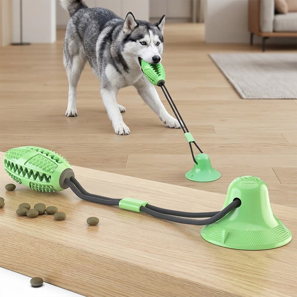 Green dog teeth cleaning toy featuring a textured football design with serrated rubber grooves to effectively massage gums and remove plaque.