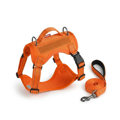 Harness and Leash for Small Dogs in a vibrant orange color, featuring a breathable mesh vest and a matching durable leash for daily walks.