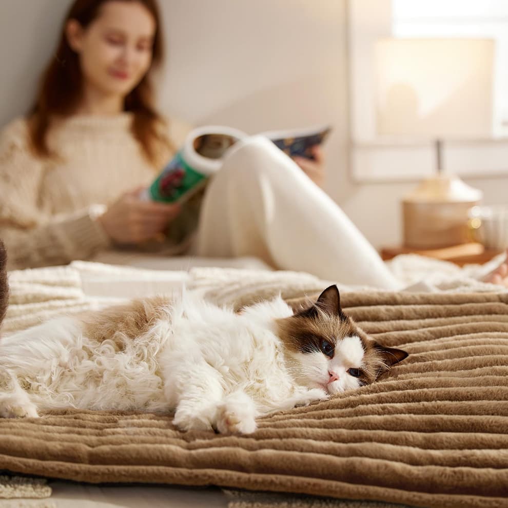 A woman sleeping comfortably beside her cat on a heated cat bed indoor, illustrating the safe and cozy design for home use.