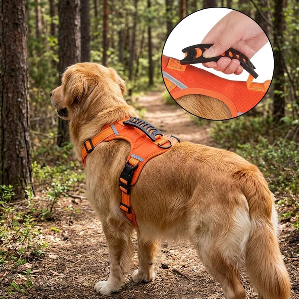 Heavy-duty dog harness with a sturdy control handle, allowing the owner to easily manage and guide their Golden Retriever in the forest.