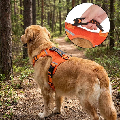Heavy-duty dog harness with a sturdy control handle, allowing the owner to easily manage and guide their Golden Retriever in the forest.