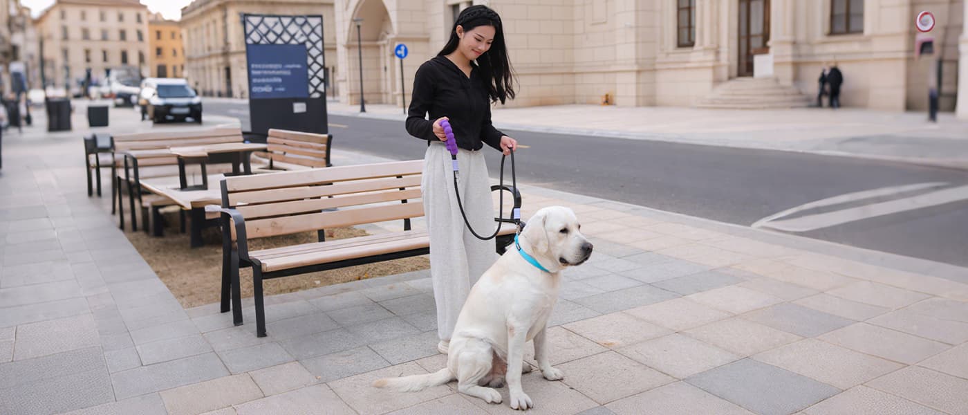 Heavy duty dog leash provides strong control during outdoor dog training