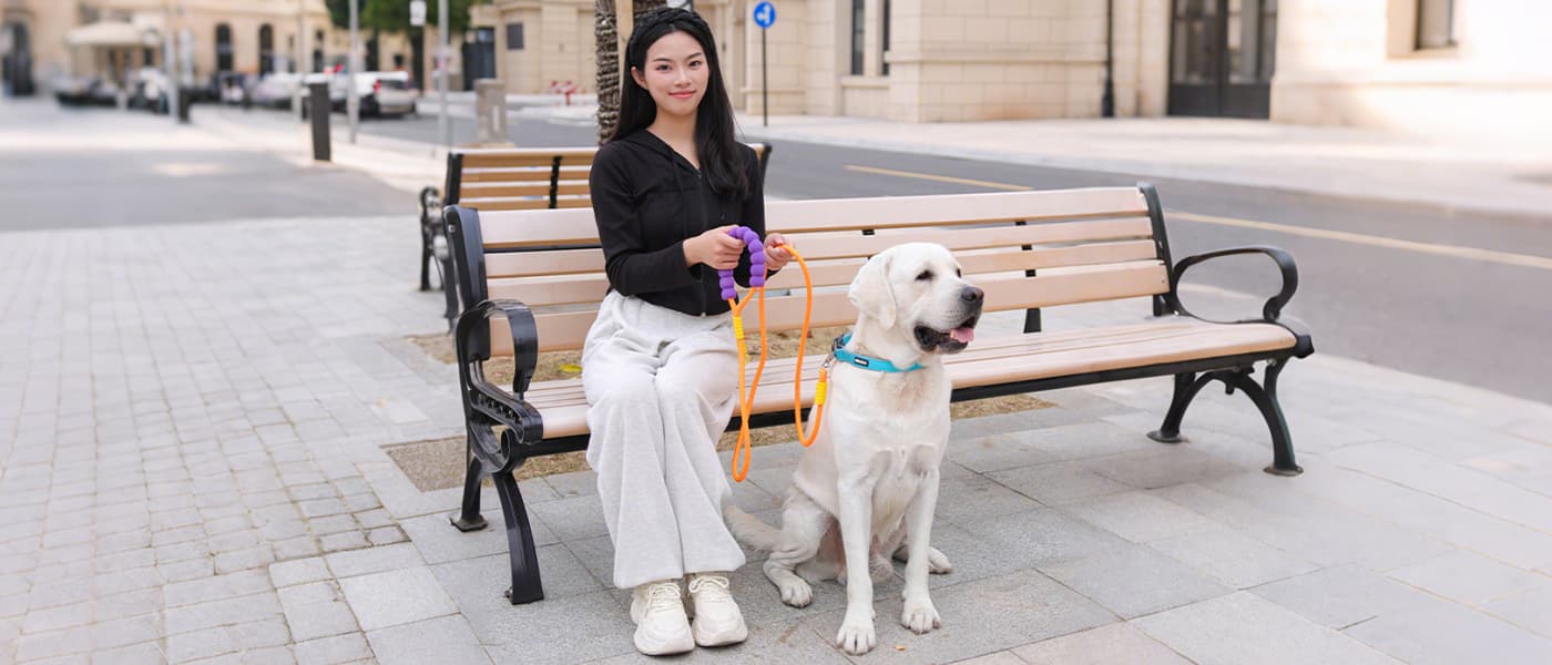 Heavy duty dog leash used for outdoor bench resting and safe dog control
