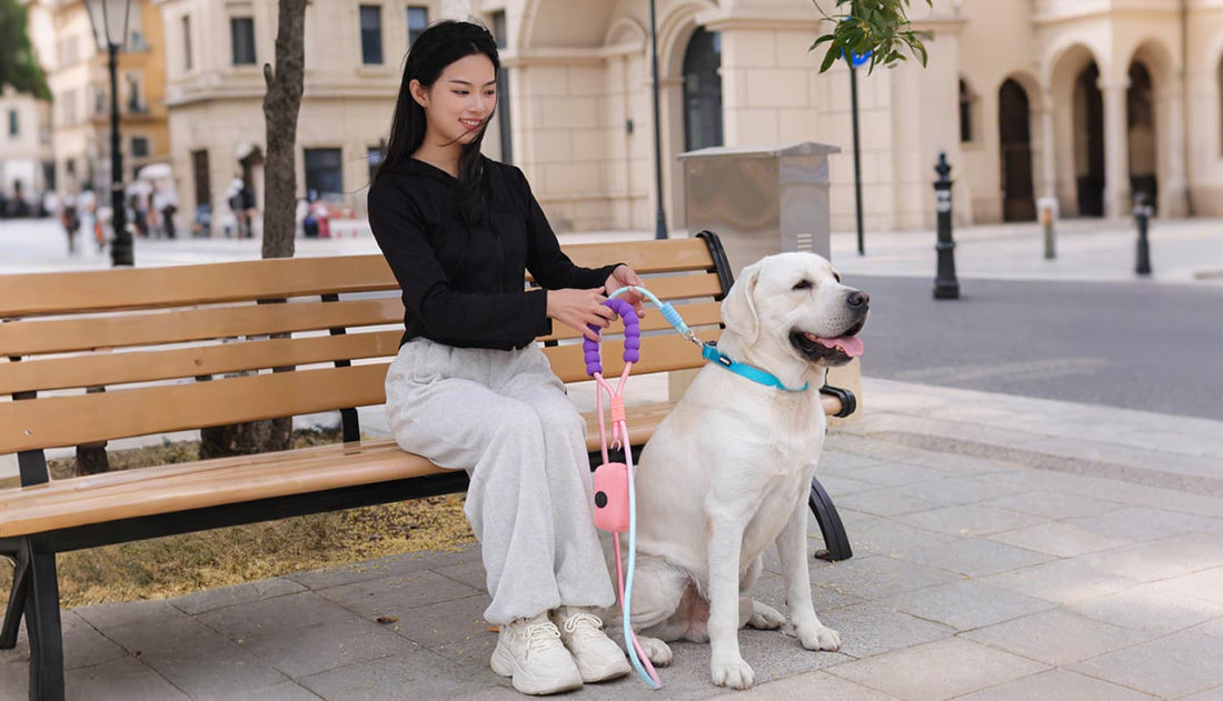 Heavy duty dog leash used for outdoor walking with large dog and padded handle