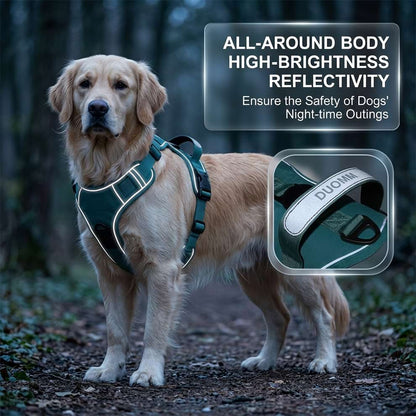 High-brightness reflective dog harness on a Golden Retriever, ensuring all-around body visibility and safety during night-time outings.