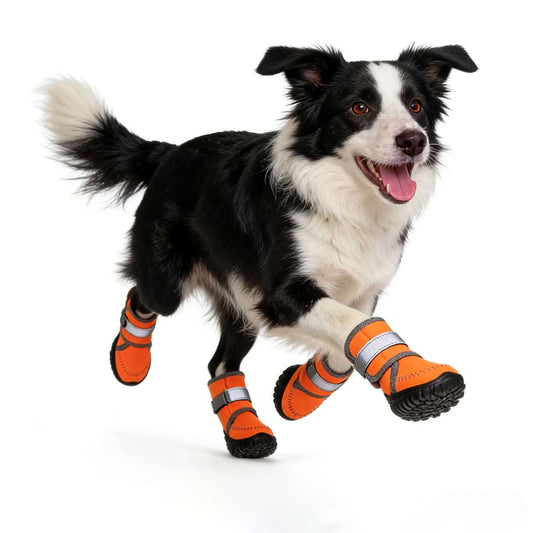 Dog walking in deep snow wearing splash-proof high top dog boots, serving as warm winter paw protectors that keep feet dry and safe from cold ice.
