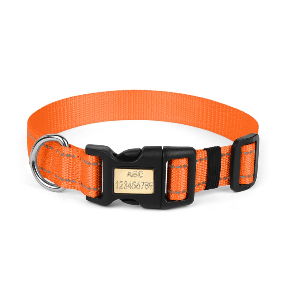 High-visibility orange dog collar with double-line reflective threads, keeping your active dog safe during evening adventures.
