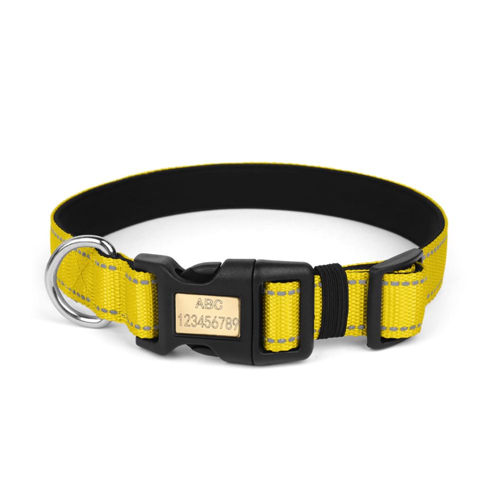 High visibility yellow dog collar combining bright nylon webbing with thick reflective threads for ultimate nighttime security.